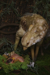 Ban Lu Jiu-Spotted Deer-Hawk