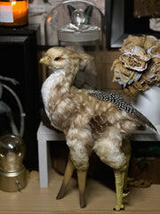 Ban Lu Jiu-Spotted Deer-Hawk